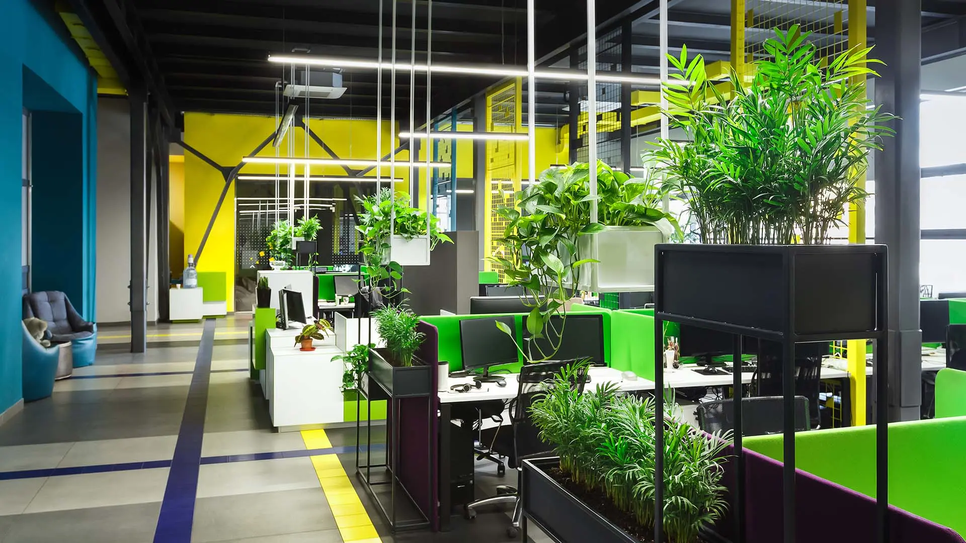 A nature-inspired office interior is filled with plants. 