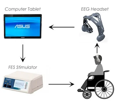 EEG headset components