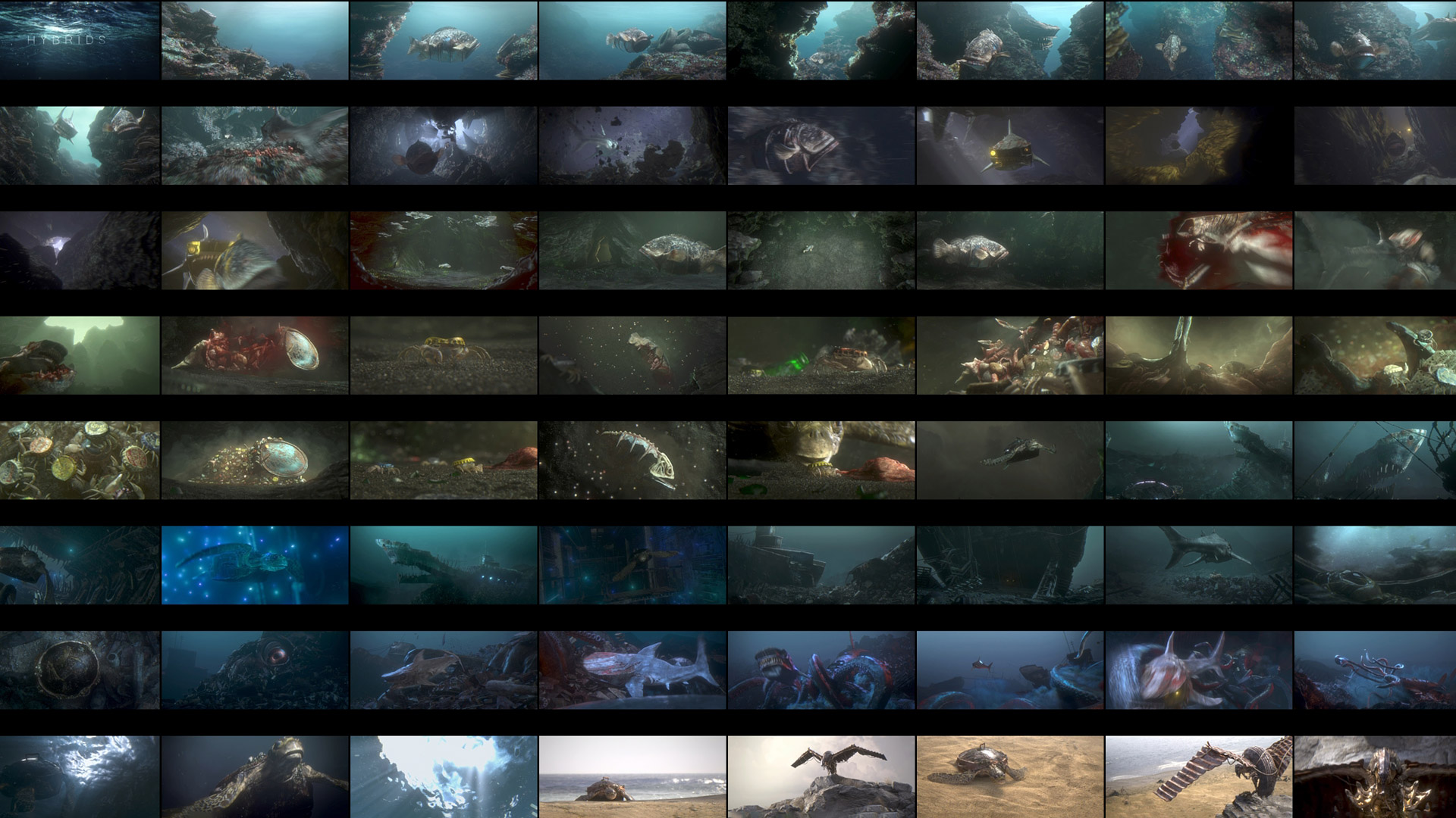 all film sequences shown together