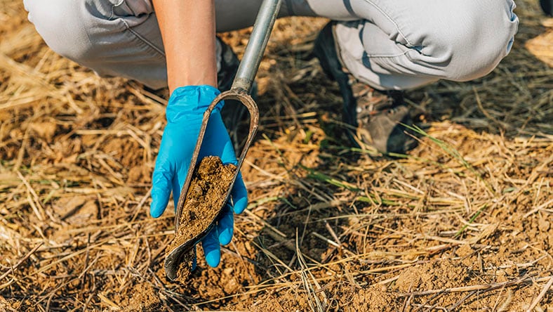 An engineer takes a sample with soil probe sampler.