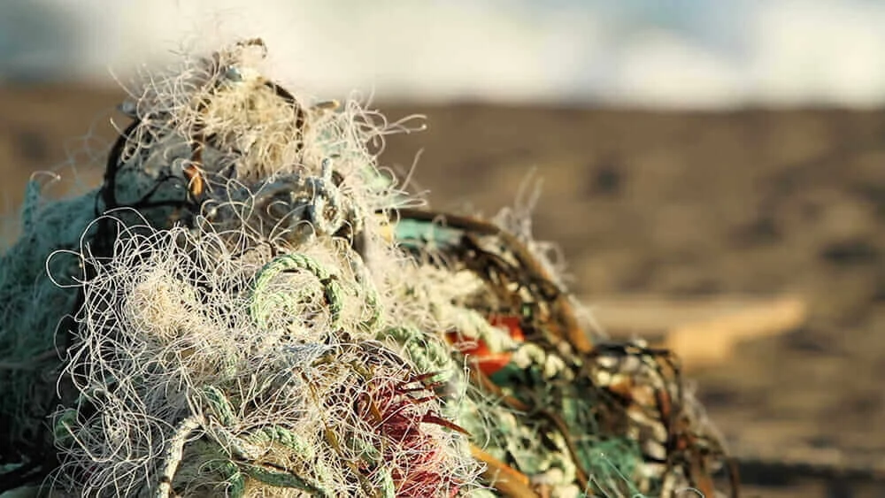 Discarded fishing nets