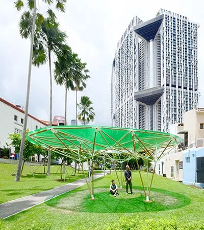 Sombra verde bamboo structure