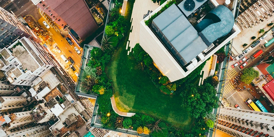 Aerial view of a green roof