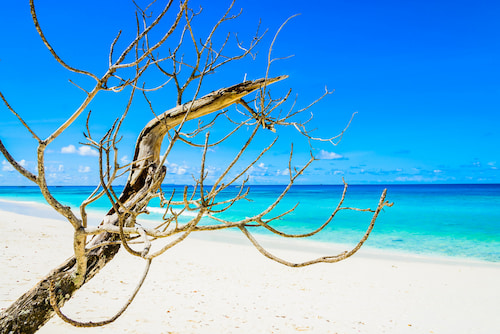 Lagoons and natural pools
