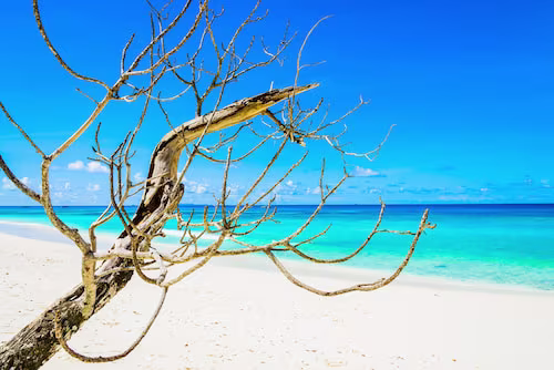 Lagoons and natural pools