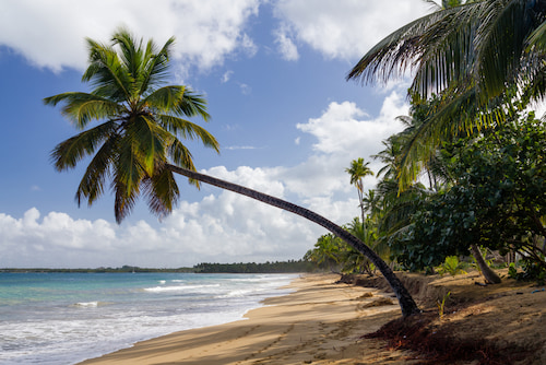 Un mar y una playa impresionantes en Las Terrenas