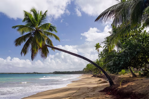 Un mar y una playa impresionantes en Las Terrenas