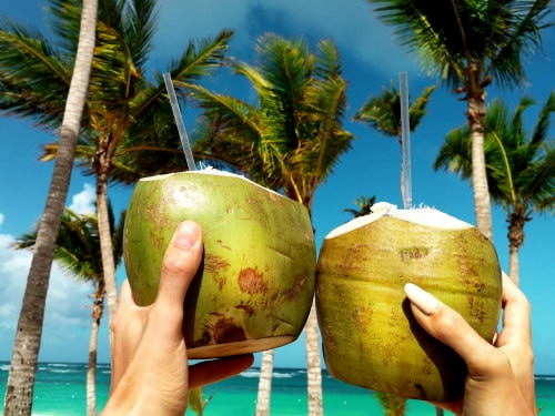 Coconut water, a real pleasure by the sea