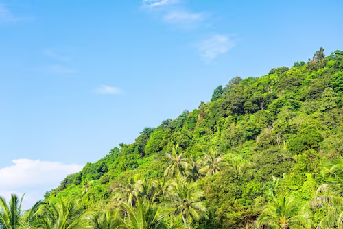jarabacoa viaje a la montaña en la República dominicana