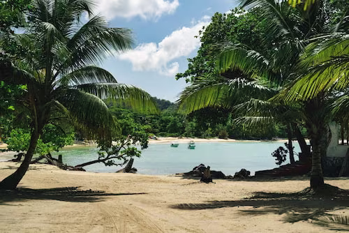 Une plage plus sauvage de l' île : la plage Rincon