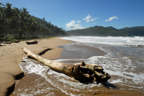 El Valle, a wild beach 