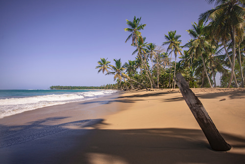 El Limón, an experience in the heart of Las Terrenas