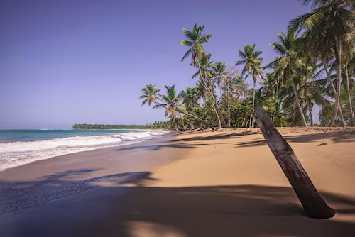 El Limón, an experience in the heart of Las Terrenas