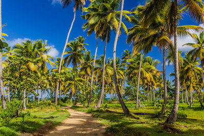 A promenade in the northeast of the island