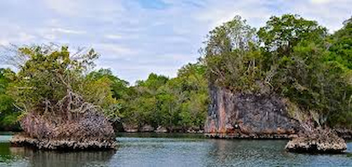 Los haitises national park in samaná bay