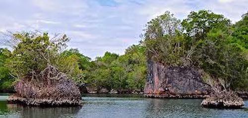 Los haitises national park in samaná bay