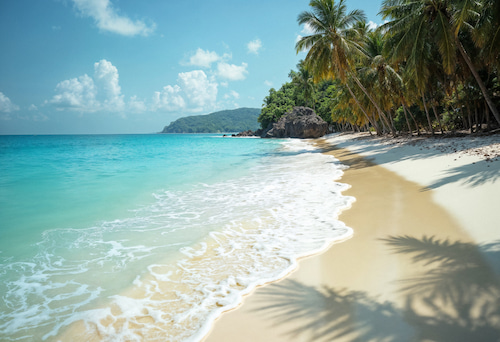 Un endroit paradisiaque pour passer ses vacances