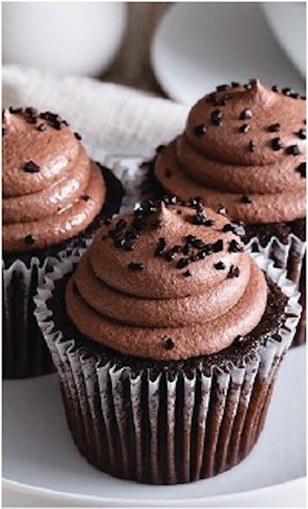 Chocolate Cupcakes