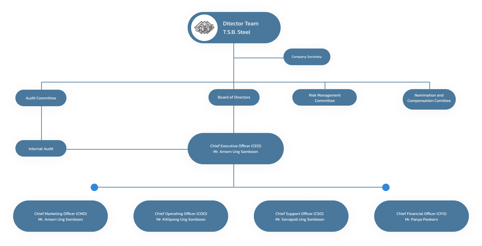 Organization Structure T.S.B. STEEL