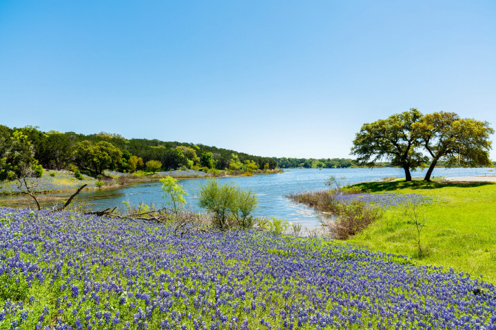 Lake Levels in the Upper Trinity Regional Water District in Texas