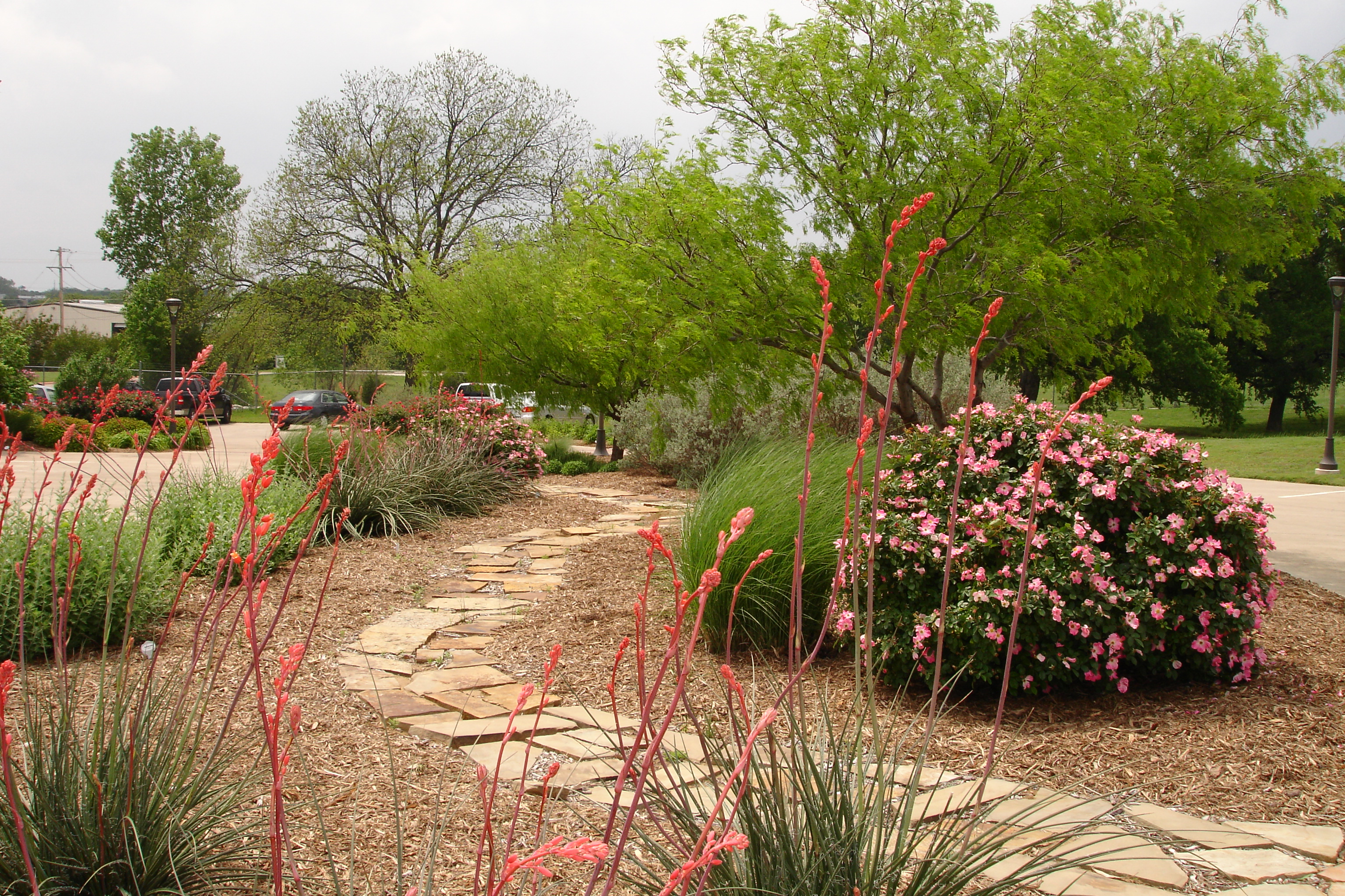 Conservation Garden #10