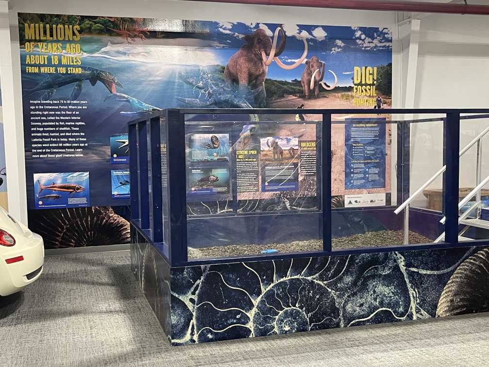 Fossil Dig Exhibit