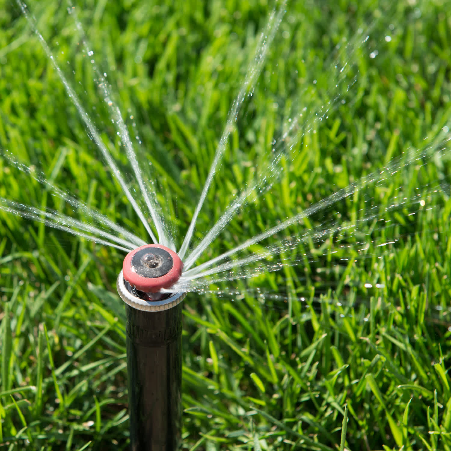 rotating sprinkler irrigation system tips