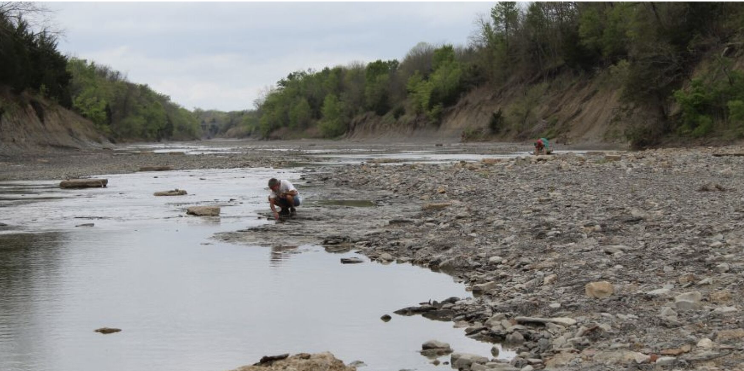 Fossil Hunting in River