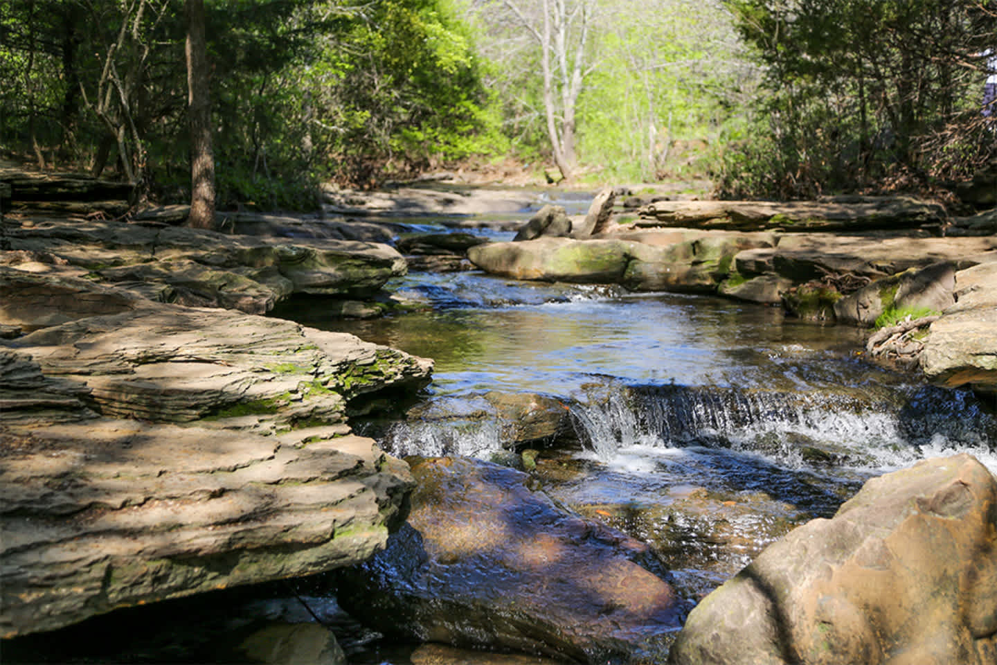 Water Flowing in a UTRWD River