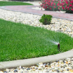Weekly lawn watering advice