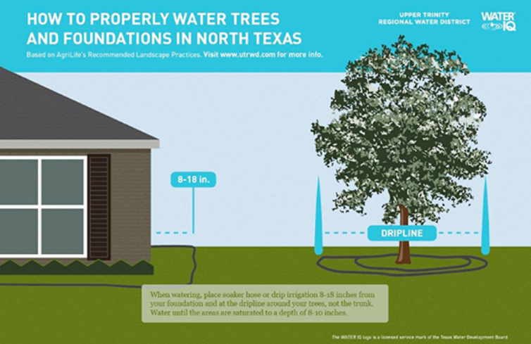 How to Water Trees and Foundations in North Texas