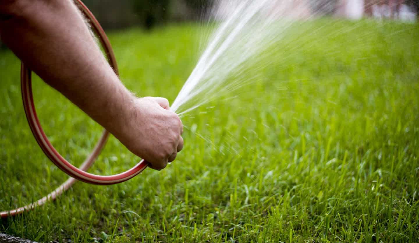 Watering the lawn with a hose
