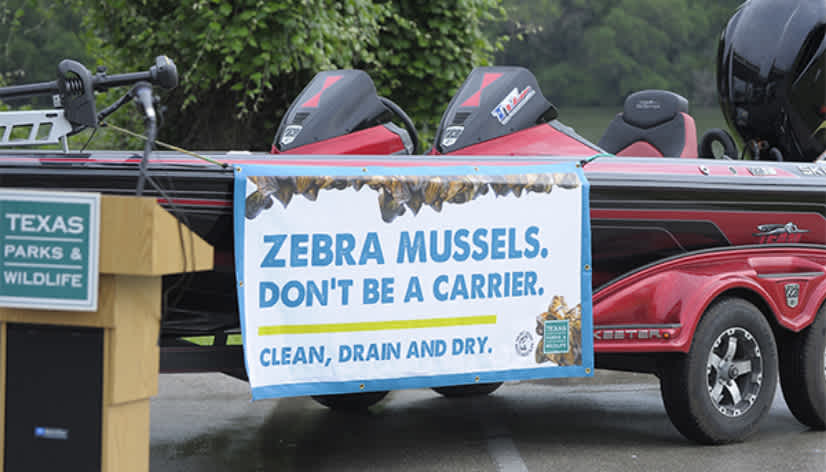 zebra mussels clean drain dry banner