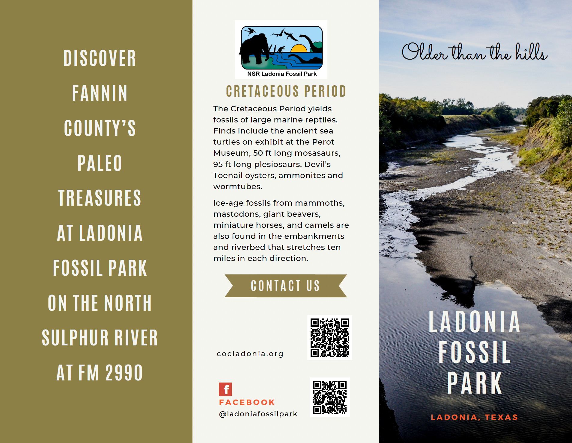 Ladonia Fossil Park Brochure, Page 1