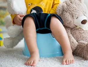 Boy on potty training seat