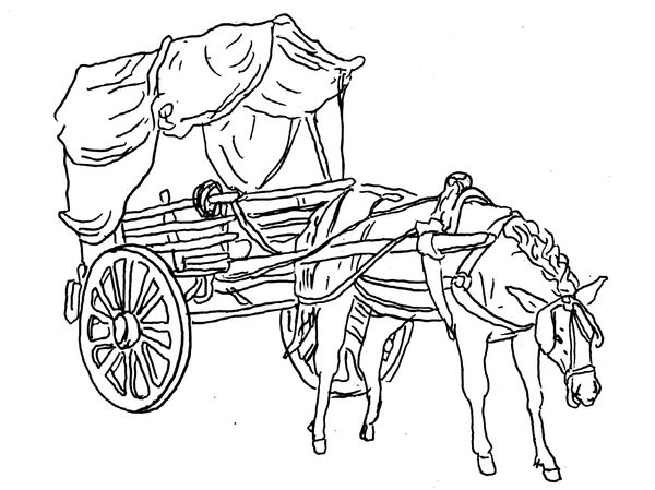 Asset description