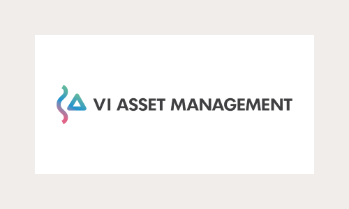 vi asset management