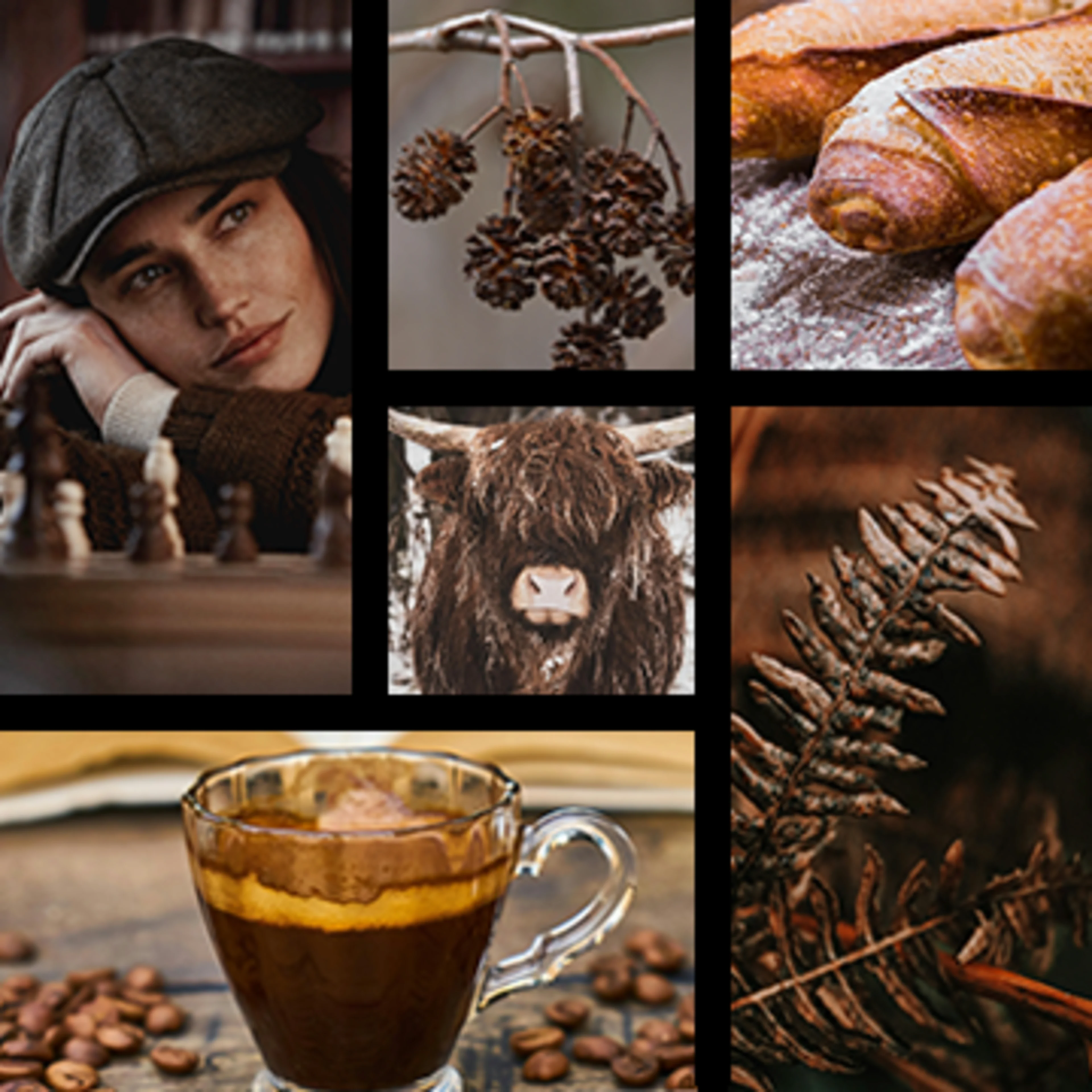 Brown emotions Brown reminds us of connections to family, home and nature