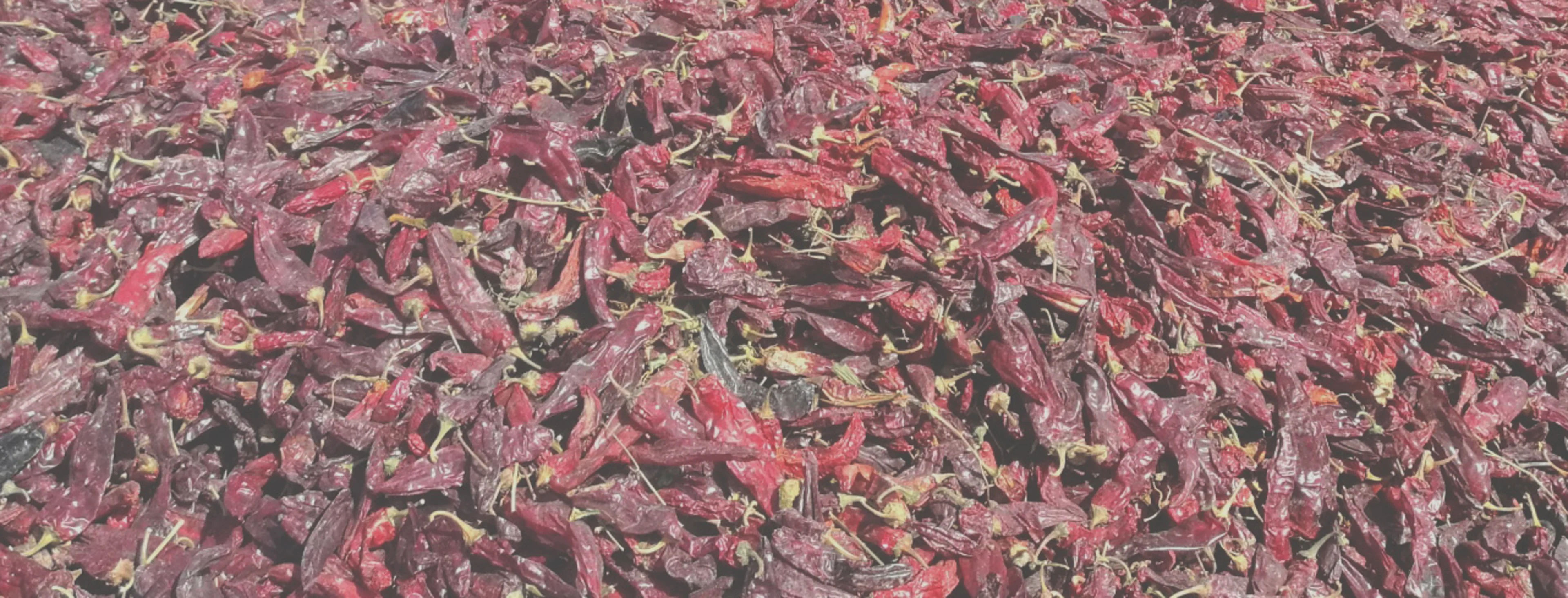 paprika drying in sun