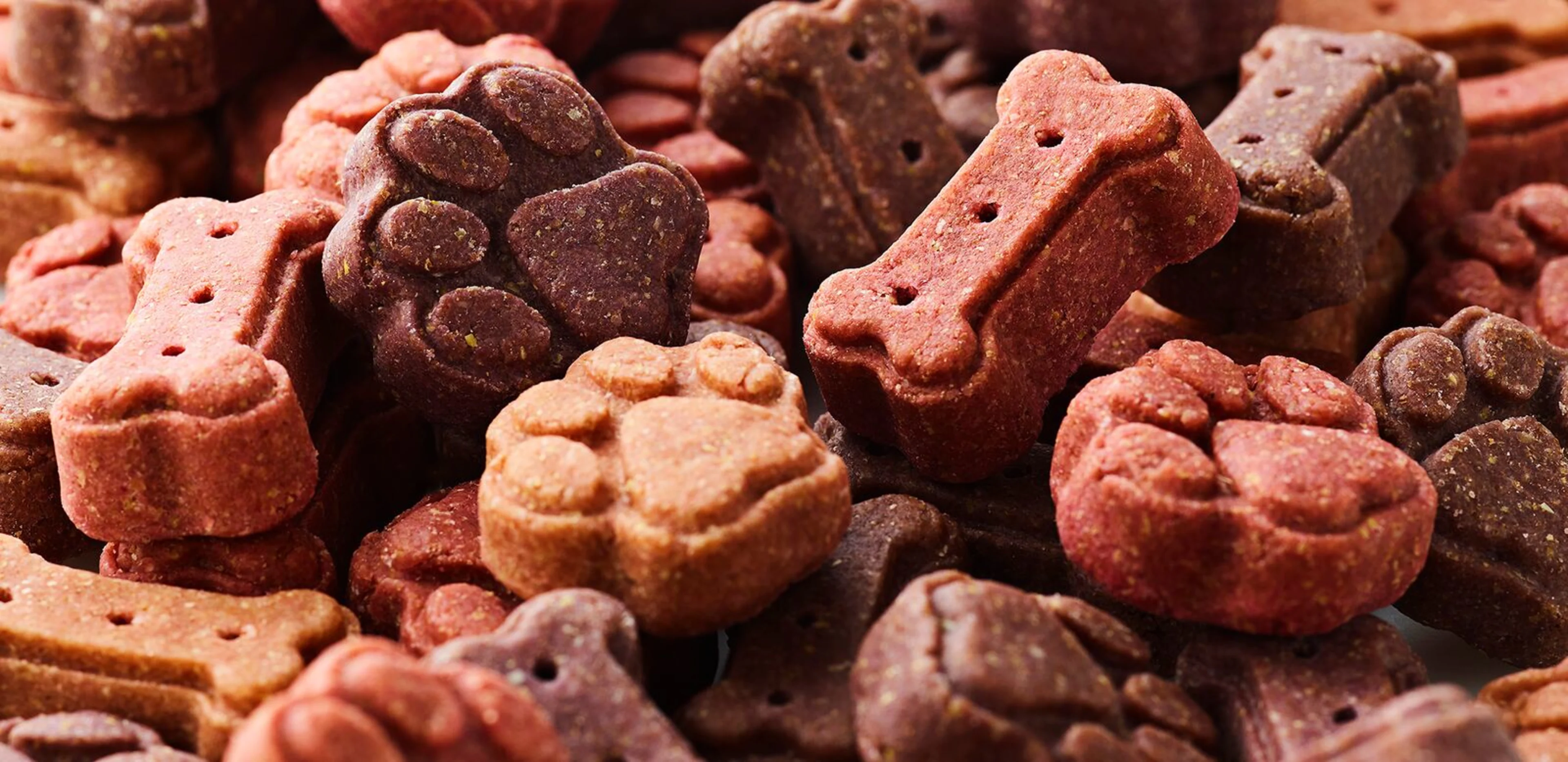 large-Oterra-Treats-BlkCa-HSWP-Mix-wp-0620