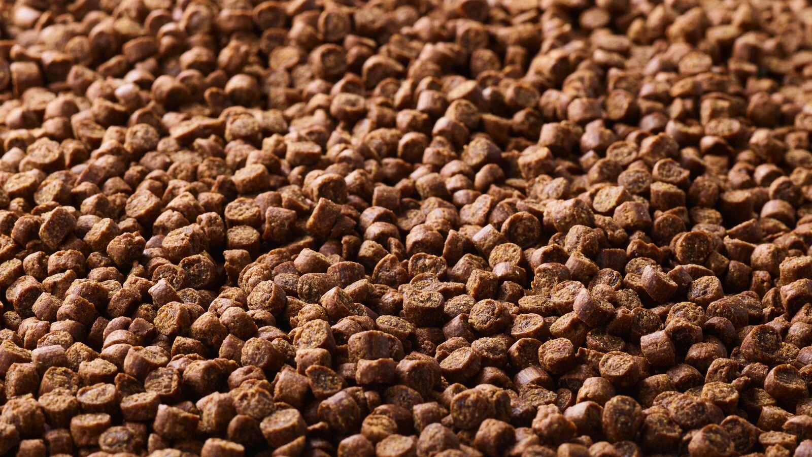 large-Oterra-brown-pet-kibbles-wp-1121