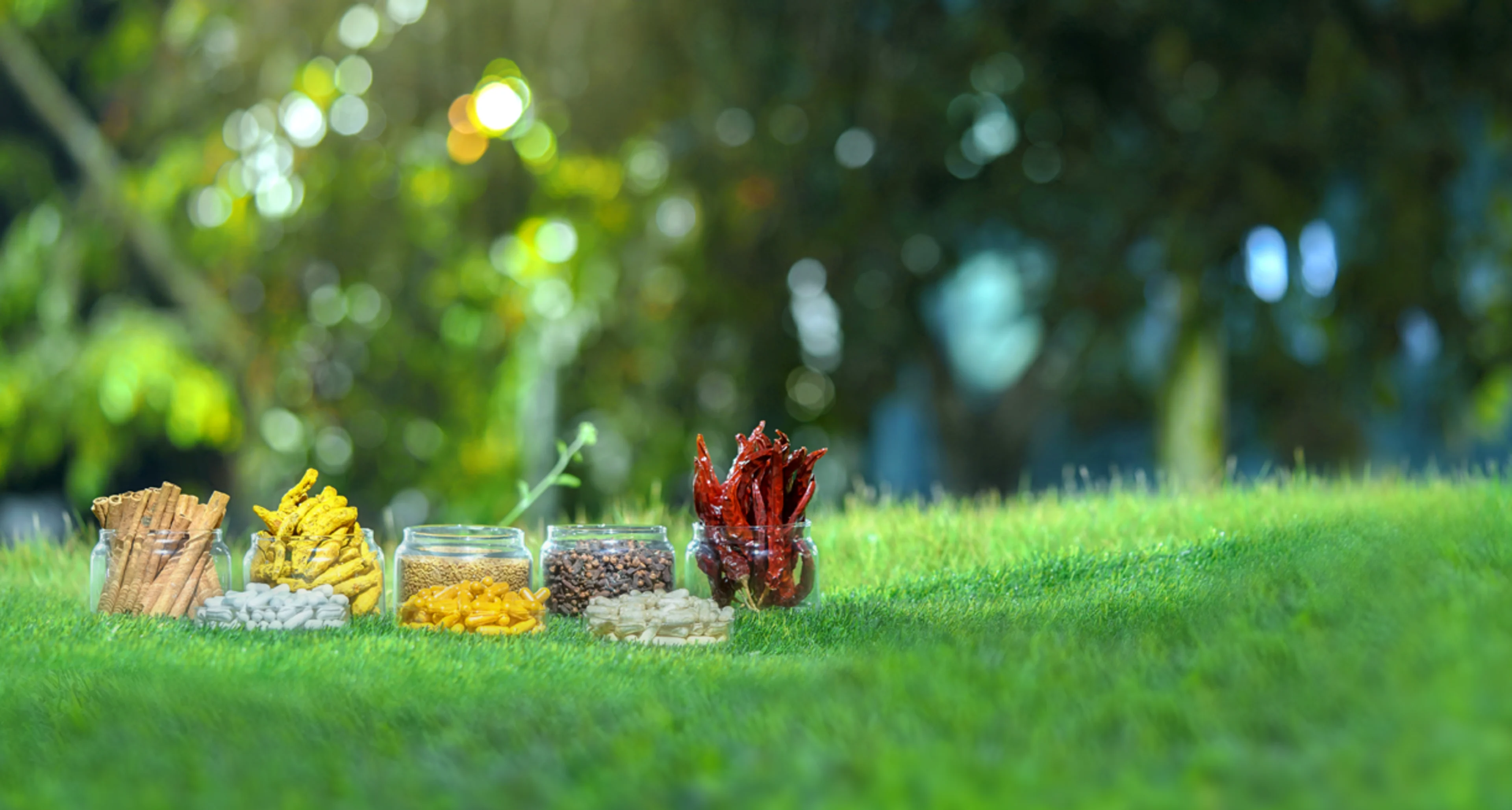 Spiceuticals