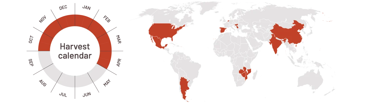 Harvest calendar paprika