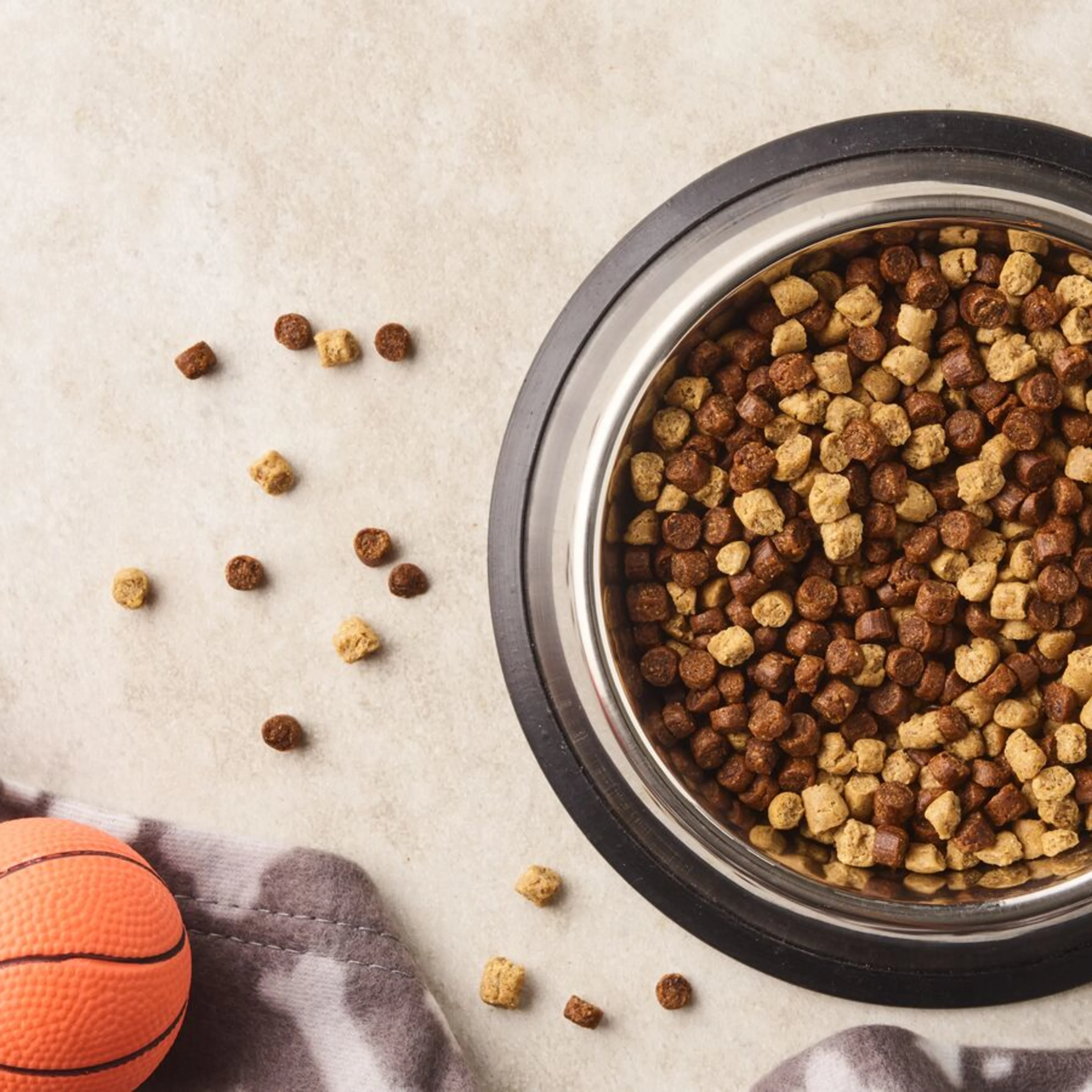 large-Oterra-apple-pet-kibbles-bowl-ball-FG-0823