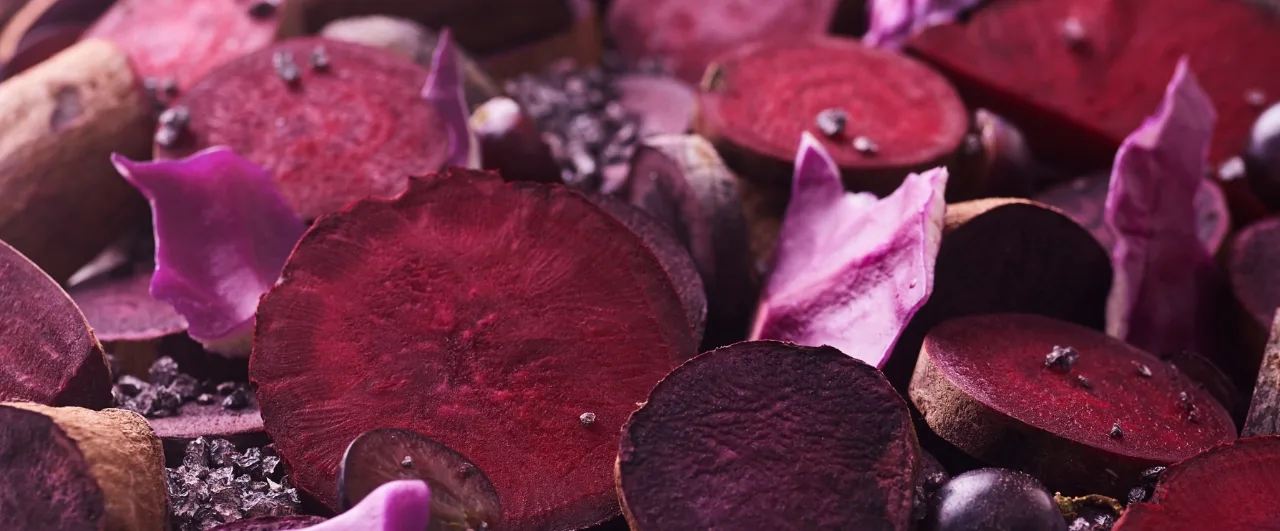 01-B-HERO cropped Oterra-raw-colorpallet-red-violet-wallpaper-0118-landscape