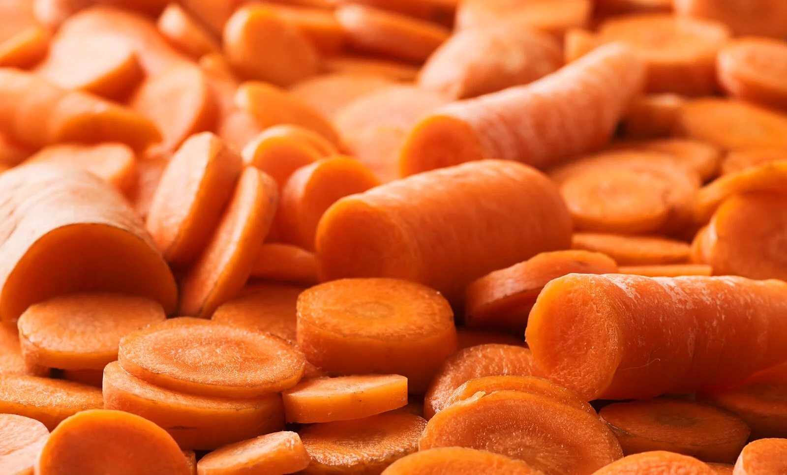 large-Oterra-raw-orange carrot-wp-0118
