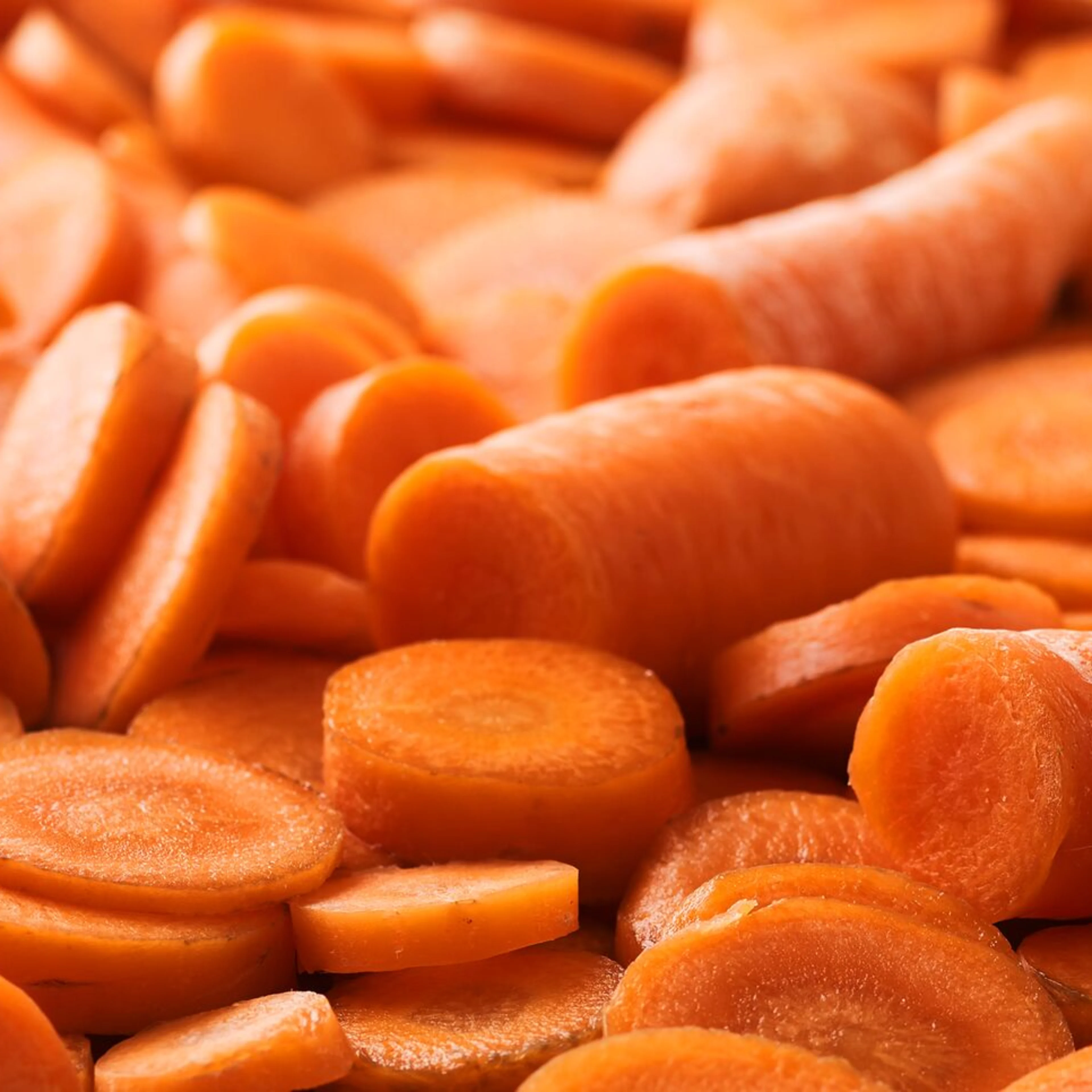 large-Oterra-raw-orange carrot-wp-0118
