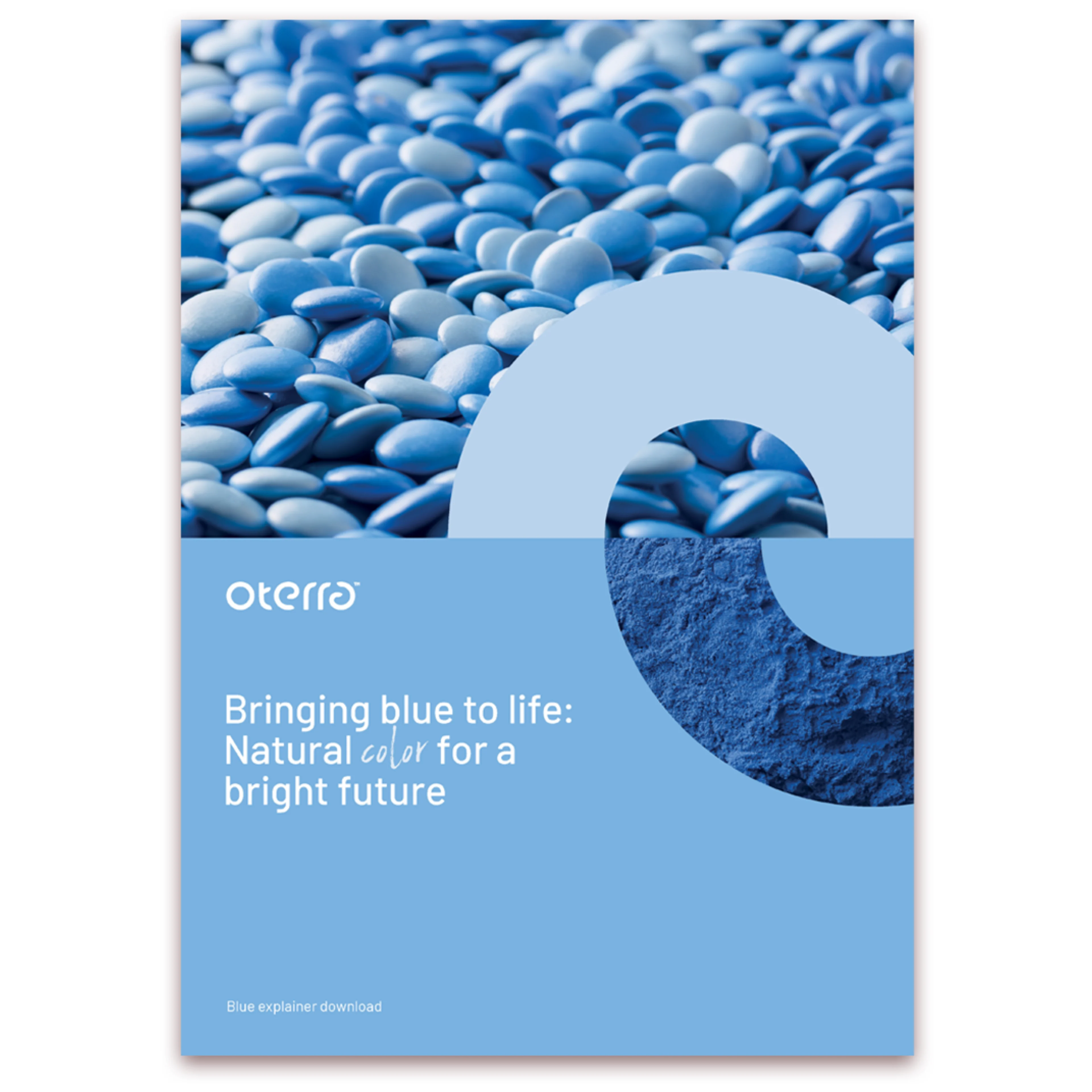 Blue Explainer cover