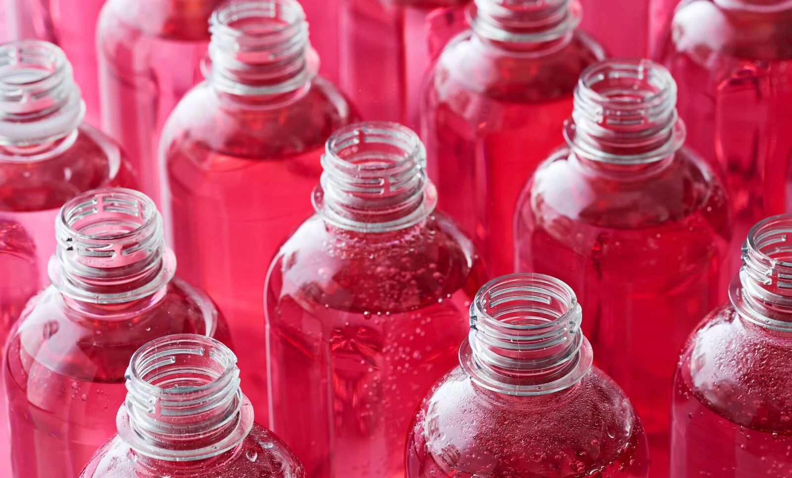 large-Oterra-black carrot-near water-bottles-wp-0620