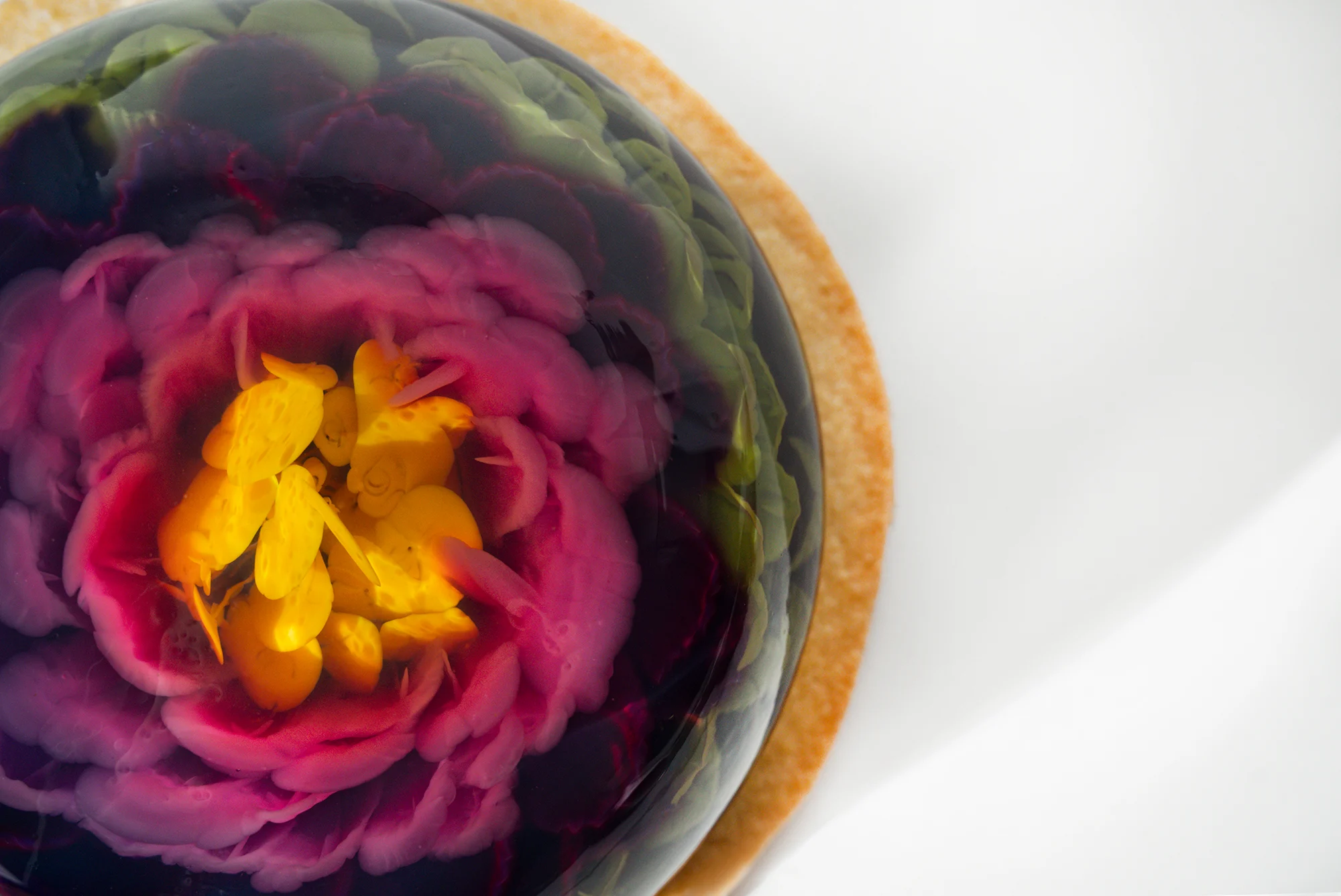 Cake Modern Bloom